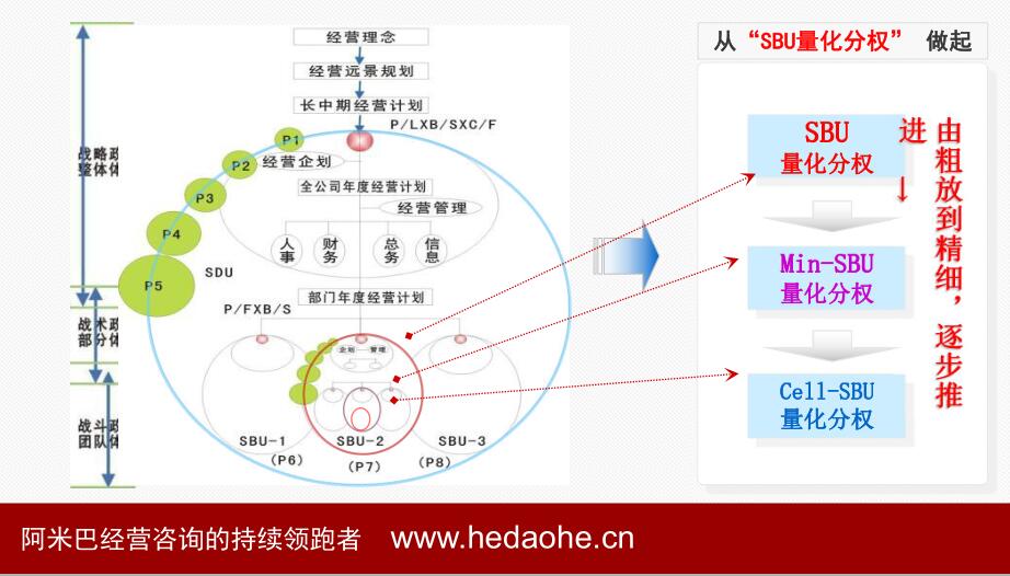 如何構(gòu)建阿米巴組織架構(gòu)--阿米巴組織架構(gòu)圖