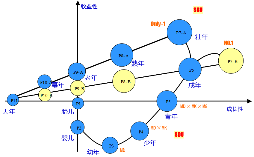 阿米巴的三層業(yè)務鏈與SBU、SDU