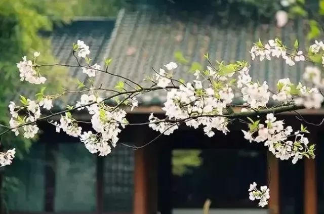 讓自己強(qiáng)大，必須放下十樣?xùn)|西！